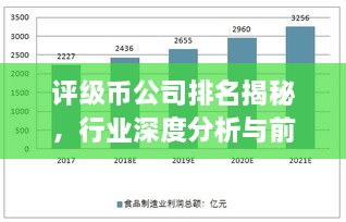 评级币公司排名揭秘，行业深度分析与前景展望