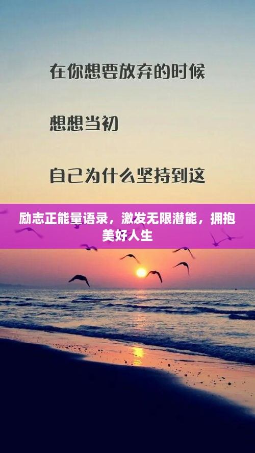 励志正能量语录，激发无限潜能，拥抱美好人生