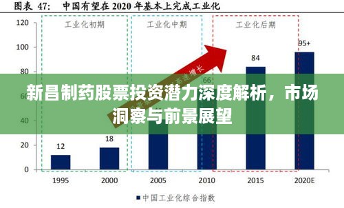 新昌制药股票投资潜力深度解析，市场洞察与前景展望