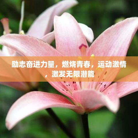 励志奋进力量，燃烧青春，运动激情，激发无限潜能