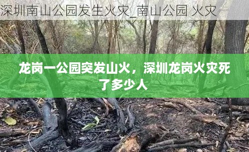 龙岗一公园突发山火，深圳龙岗火灾死了多少人 