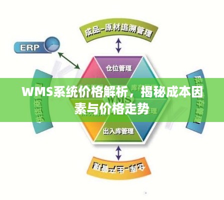 WMS系统价格解析，揭秘成本因素与价格走势