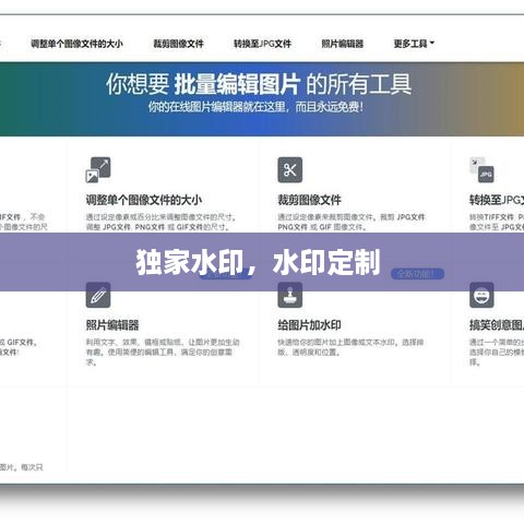 独家水印，水印定制 