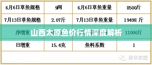 山西太原鱼价行情深度解析