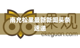 南充松果最新新闻头条速递