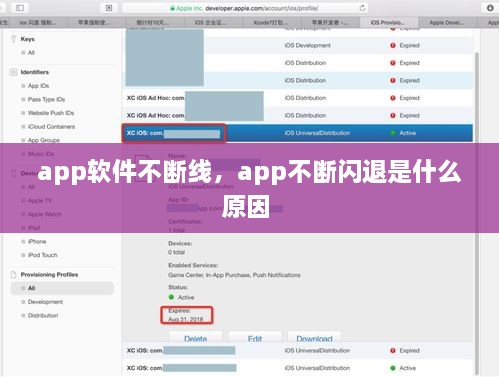 app软件不断线，app不断闪退是什么原因 