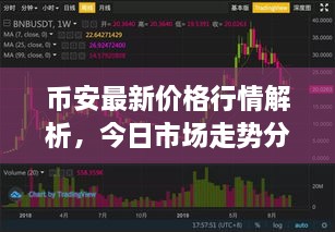 币安最新价格行情解析，今日市场走势分析